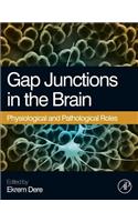 Gap Junctions in the Brain