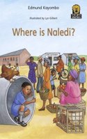 Where is Naledi?