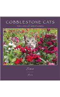 Cobblestone Cats - Lima