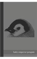 Baby Emperor Penguin
