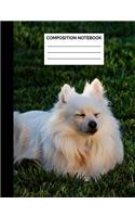 Composition Notebook: Meditating White Pomeranian Wide Ruled Lined Note Book - Exercise Book & Journal with Lines for Dog Lovers, Kids, Teens, Students or Teachers to Wri