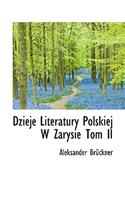 Dzieje Literatury Polskiej W Zarysie Tom II