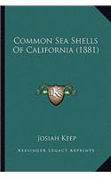 Common Sea Shells Of California (1881)