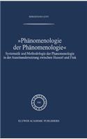 Phänomenologie Der Phänomenologie