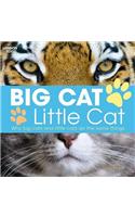 Big Cat, Little Cat