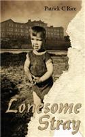 Lonesome Stray