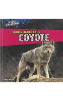 Your Neighbor the Coyote: (City Critters)
