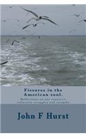 Fissures In The American Soul