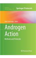 Androgen Action