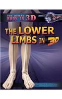 Lower Limbs in 3D