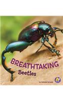 Breathtaking Beetles