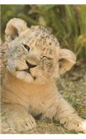 Lion Cub in the Grass Journal