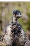 Emu Bird Journal