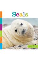 Seedlings: Seals