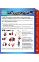 Urogenital System (Speedy Study Guides)
