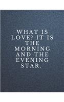 What is love? It is the morning and the evening star