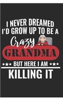 I NEVER DREAMED I'D GROW UP TO BE A Crazy GRANDMA BUT HERE I AM KILLING IT