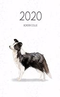 2020 Border Collie: Dated Weekly Planner With To Do Notes & Dog Quotes - Border Collie