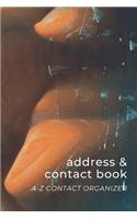 Address & Contact Book: Small Simple A-Z Organizer Notebook with Tabs - Names Addresses Birthdays Phone Numbers & Notes - Earth & Ocean - Abstract Artwork Series