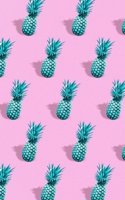 Pineapple Journal Notebook - Blank Paper