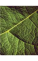 Leaf Veins Sketchbook: Blank Art Sketch Pad Journal Notebook(30 Go Green 150 Sketch)
