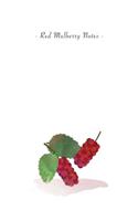 Red Mulberry Notes
