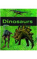 Dinosaurs: (Play Box)