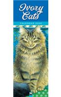 Ivory Cats Slim Calendar 2020 (Art Calendar)