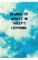 Beware of Wolves in Sheep's Clothing
