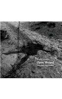 Stanley Greene: Open Wound
