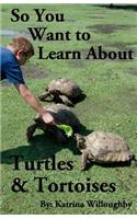 So You Want to Learn About Turtles & Tortoises