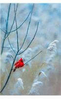 Red Cardinal - Blank Notebook: 101 Pages, 6 x 9 Journal, Soft Cover