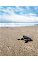 Sea Turtle Bullet Journal: Baby Sea Turtle (Large Bullet Journal 8.5 X 11) (Comfortable 1/4 Inch Dot Grid) (140 Pages, Soft Cover)