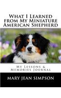 What I Learned from My Miniature American Shepherd