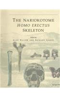 Nariokotome Homo Erectus Skeleton