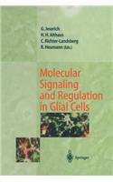 Molecular Signaling and Regulation in Glial Cells