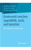 Kindeswohl Zwischen Jugendhilfe, Justiz Und Gutachter: Eine Empirische Untersuchung