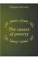 The Causes of Poverty