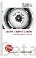 Scarlet-Chested Sunbird: (English)