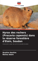 Hyrax des rochers (Procavia capensis) dans la réserve forestière d'Elain, Soudan