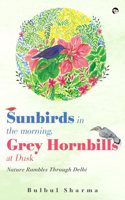 Sunbirds In The Morning, Grey Hornbills At Dusk : Nature Rambles Through Delhi