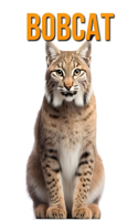 Bobcat: The Essential Guide to This Amazing Animal with Amazing Photos