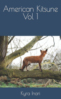 American Kitsune Vol 1: (American Kitsune)