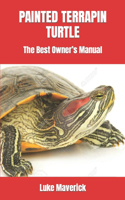 Painted Terrapin Turtle