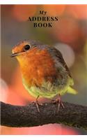 My Address Book: Robin - Address Book for Names, Addresses, Phone Numbers, E-mails and Birthdays