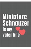 Miniature Schnauzer is my valentine: For Miniature Schnauzer Dog Fans