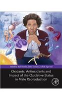 Oxidants, Antioxidants, and Impact of the Oxidative Status in Male Reproduction