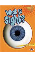 What Is Sight?