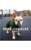 Rene-Charles: NYC: Little Bulldog in the Big City