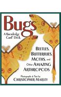 Flsh Card-Bugs